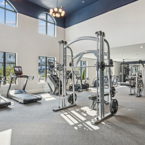 Fitness center with cardio equipment and natural light Fitness center with cardio equipment and natural light